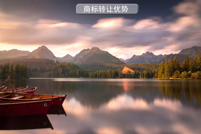 商標(biāo)轉(zhuǎn)讓的優(yōu)勢(shì)和需要的材料? 商標(biāo)轉(zhuǎn)讓的優(yōu)勢(shì)和需要的材料?