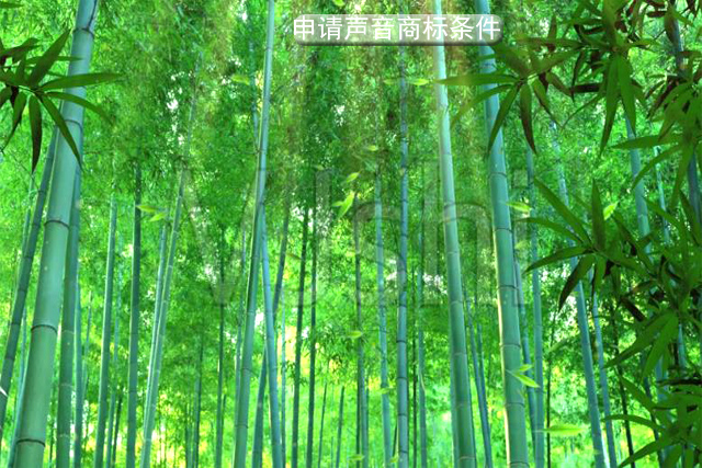 申請(qǐng)聲音商標(biāo)需要滿足什么條件? 申請(qǐng)聲音商標(biāo)需要滿足什么條件?