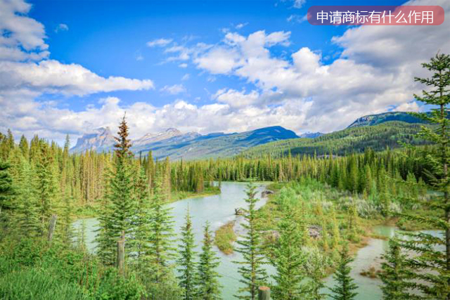 申請了商標(biāo)有什么作用 申請了商標(biāo)有什么作用