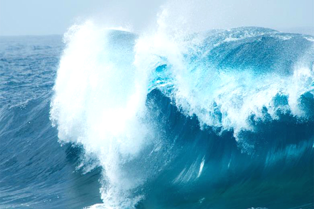 商標(biāo)在哪里注冊(cè)比較好 商標(biāo)在哪里注冊(cè)比較好