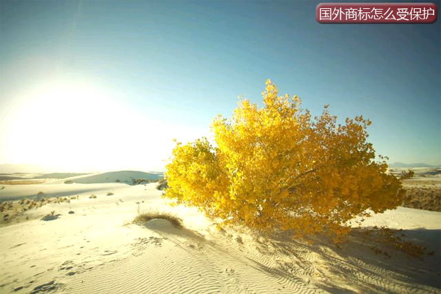 國外注冊商標(biāo)可以在中國受保護(hù)嗎? 國外注冊商標(biāo)可以在中國受保護(hù)嗎?