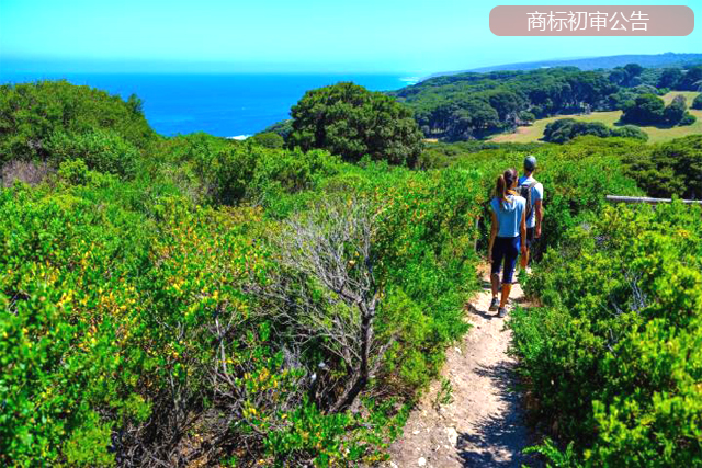 商標(biāo)初審公告的主要內(nèi)容 商標(biāo)初審公告的主要內(nèi)容